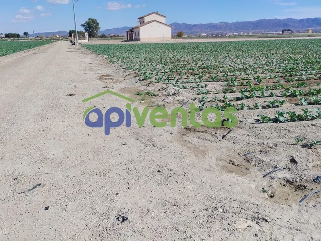 Parcela en Carretera de La Almenara (A 3,5 KM del CENTRO COMERCIAL) — 4