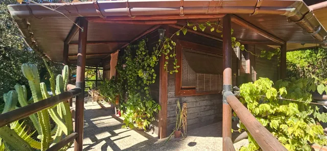 Finca rústica en Alcolea del Río con piscina, placas solares y 5.000 m2 — 22