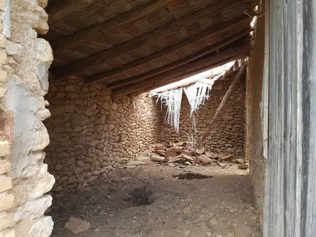 Finca Rústica de 6,5 hectáreas, plana, con casa de campo de 150 M2 — 14