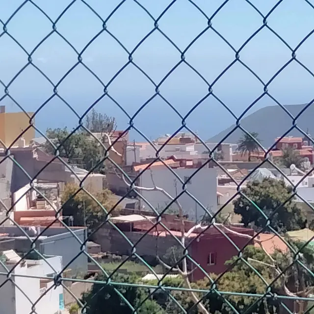 CASA CANARIA LA HOYA — 30