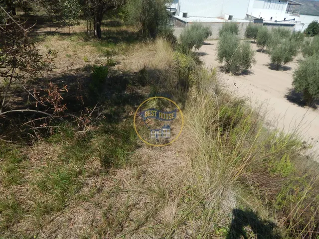 OPORTUNIDAD PARCELA DE REGADÍO CON ÁRBOLES FRUTALES EN PLENA PRODUCCION EN ONTINYENT — 19