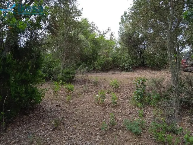 VENTA DE TERRENO RÚSTICO EN VALDELARCO, HUELVA - foto 4
