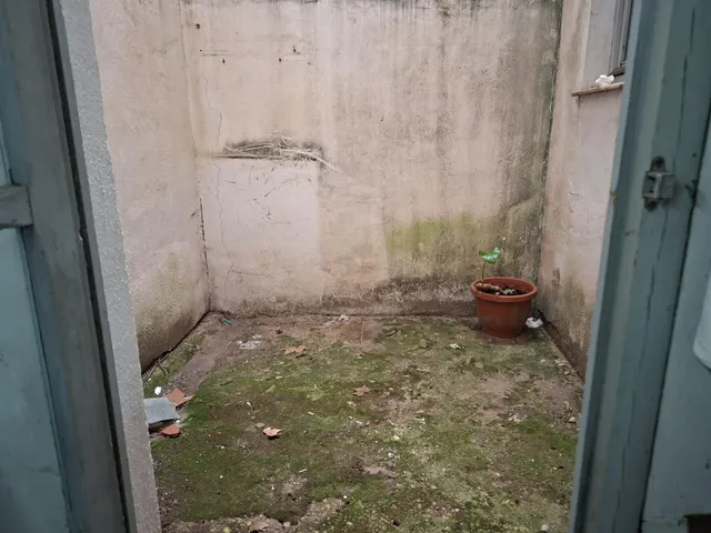 Local comercial situado en Gandia rodeado de colegios, zonas de paso parques.... — 14