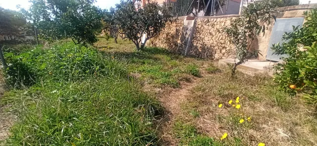 CHALET INDEPENDIENTE CON PARCELA URBANA. IDEAL INVERSORES. — 14