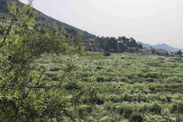 Parcela en Venta en Romana, La Alicante - foto 5