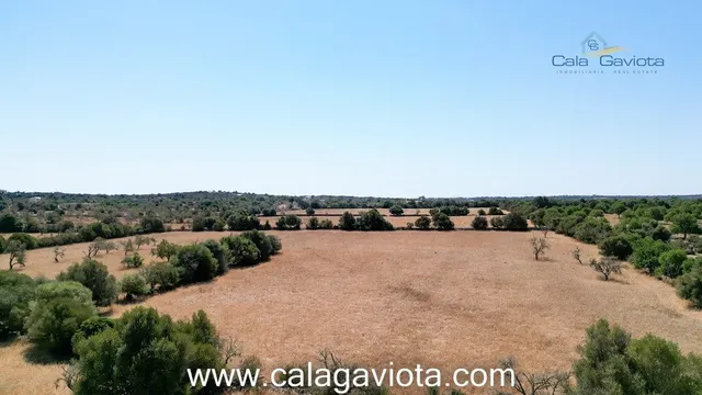 Terreno de 19.000 m2 a 2 km de Ses Salines - foto 5