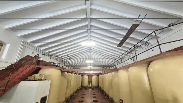 BODEGA VENTA PEREÑA DE LA RIBERA. Urbis te ofrece una bodega - foto 5