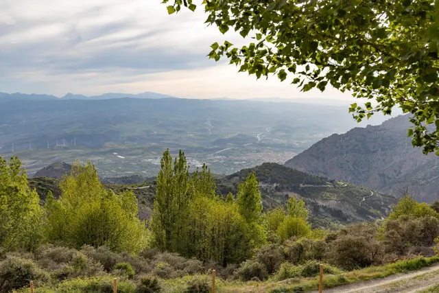 Cortijo Sierra Nigüelas — 40