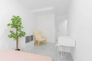 Co-Living  - Ideal Inversionistas — 24