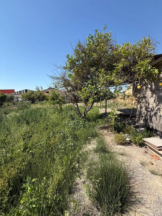 CASA PARA REFORMAR EN CARRETERA FUENSANTA CON PARCELA 1222M2. — 3