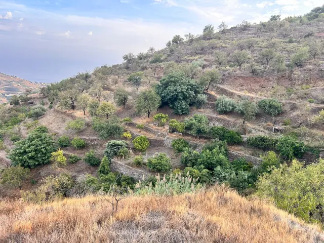 Bonito cortijo en venta en Loma del Gato – Almuñécar / Ítrabo — 24