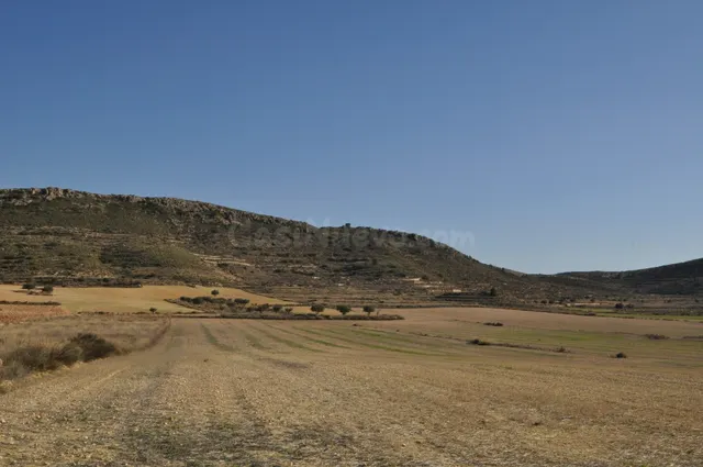Parcela 2000m² en venta - Torre del rico