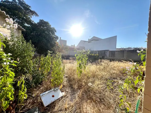 Casa 6 habitaciones 260m² en venta - Comunidad valenciana — 15
