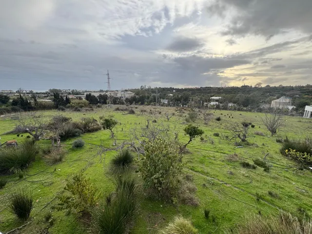 Finca en Cancelada con vistas al mar — 16