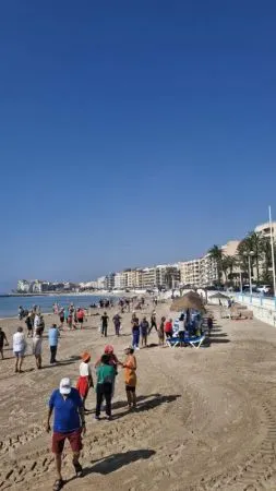 Apartamento 3 habitaciones 112m² en venta - Los Frutales — 7