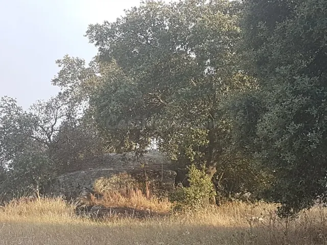 Terreno rural en venta - Alrededores