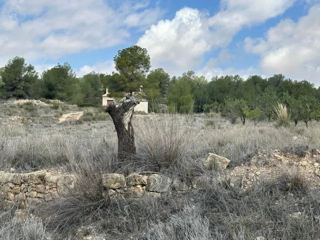 Casa de campo en una parcela de 10600 metros — 14