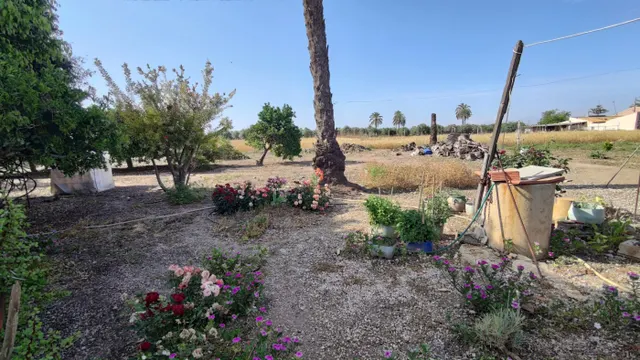 SE VENDE CASA DE CAMPO CON 42.000 M2 DE PARCELA. — 23