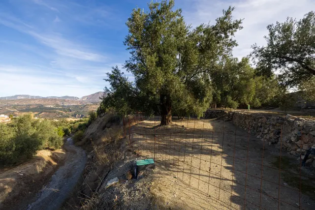 Finca rústica en venta en Pinos del Valle (Valle de Lecrín) — 21