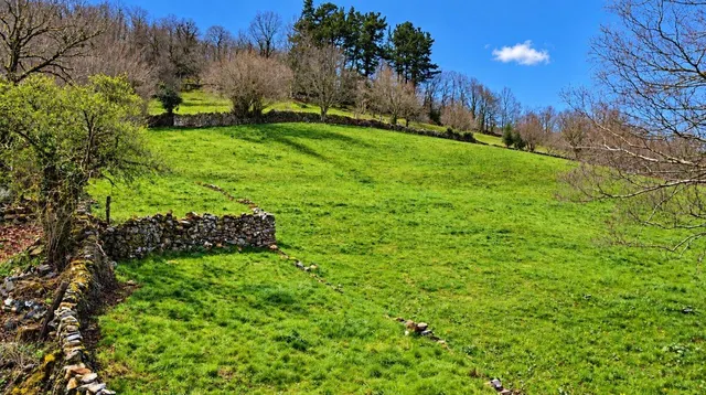 Exclusiva finca rústica de 3.899 m2 con proyecto de vivienda y autorización favorable de la crotu en sel de la carrera .- — 5