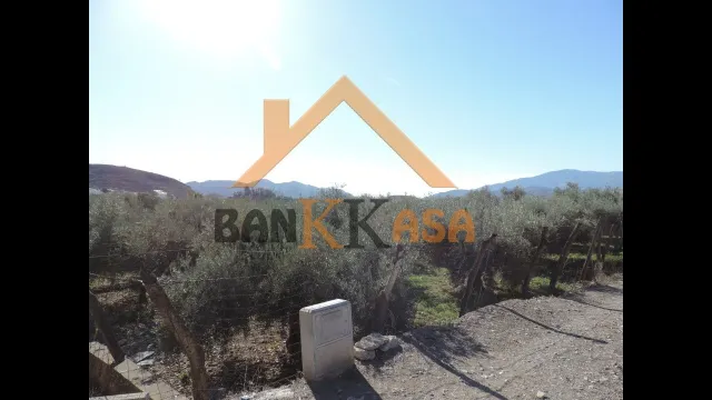 SE VENDE TERRERENO RURAL EN BERJA CON CORTIJO — 35