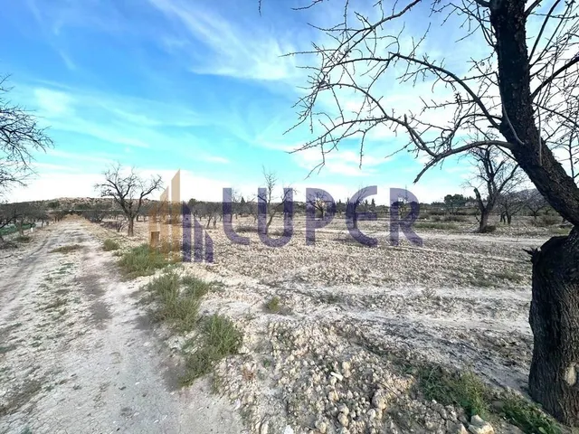 Parcela rústica urbanizable en Agost- 13.095m2 con viñas en 