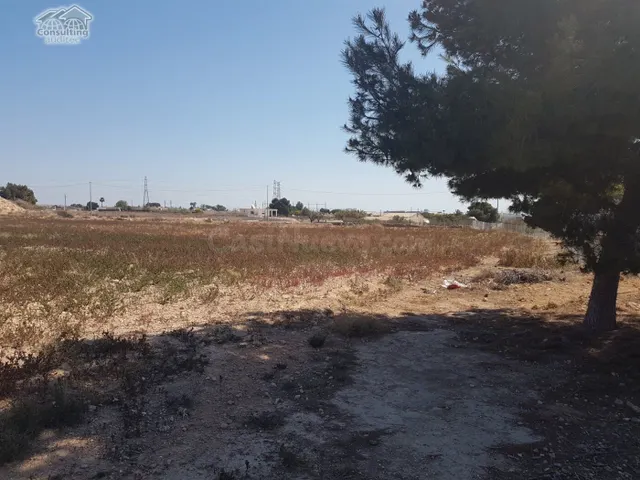 Terreno 10.000 m2 frente Parque Industrial Elche Torrellano - foto 2