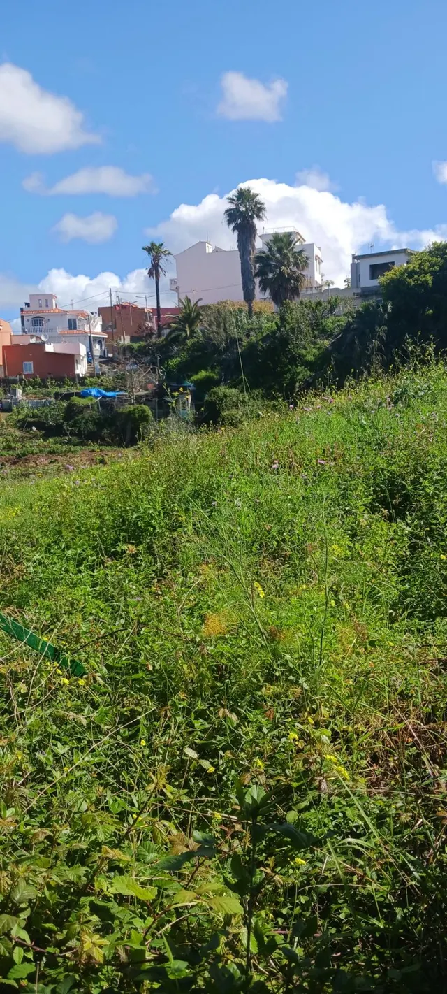 SOLAR URBANO EN EL SAUZAL — 13