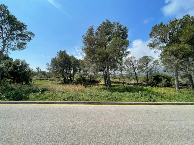 SUELO URBANIZABLE EN PLANA ESPANYOL. MONT-ROIG DEL CAMP (TAR - foto 3