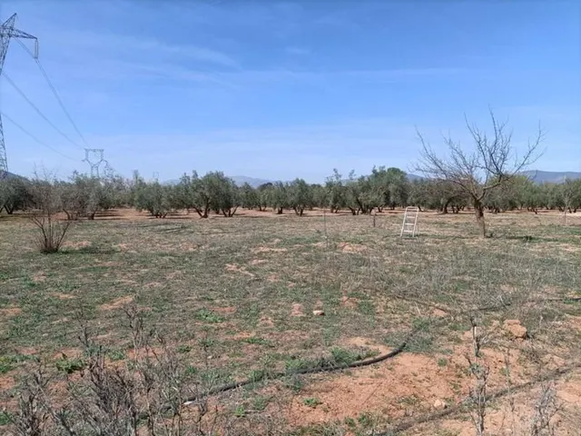 Finca rústica en venta — 15