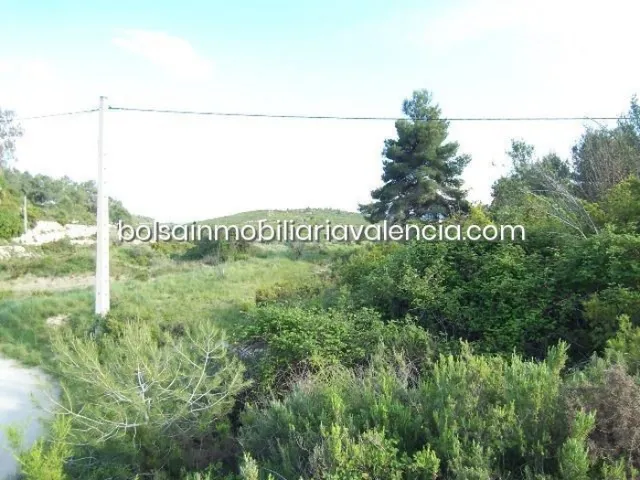 Terreno rural 8000m² en venta - La Raiosa — 26