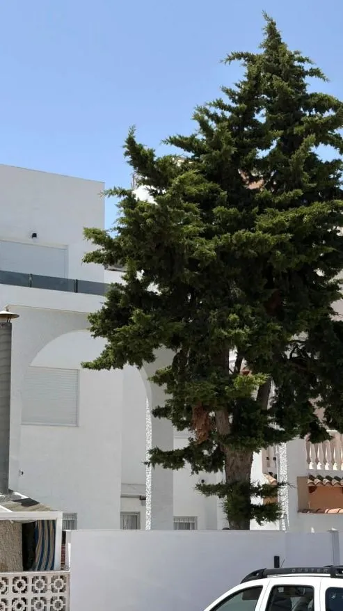 Casa 3 habitaciones 70m² en venta - Playa del Cura — 7