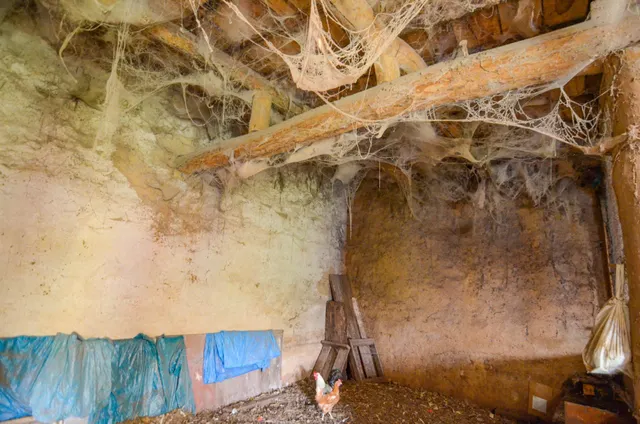 Urbis te ofrece una casa con terreno en venta en Doñinos de Salamanca, Salamanca. — 17