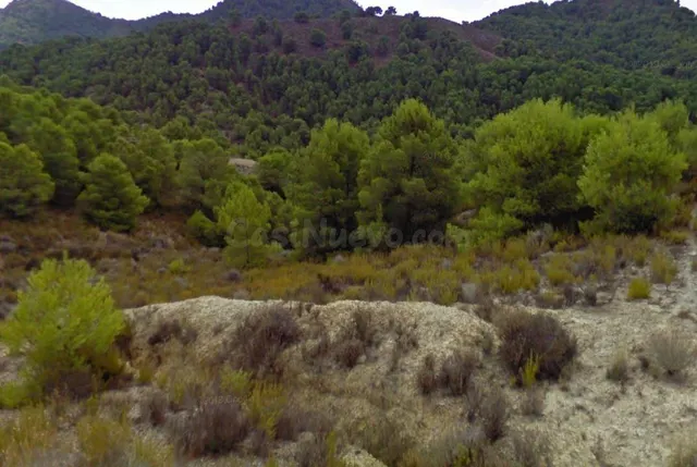VENTA FINCA EN EL PUNTARRON - foto 3