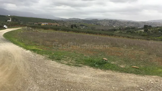 Terreno rústico en Coín: 22.219 m² con potencial de revalorización — 5