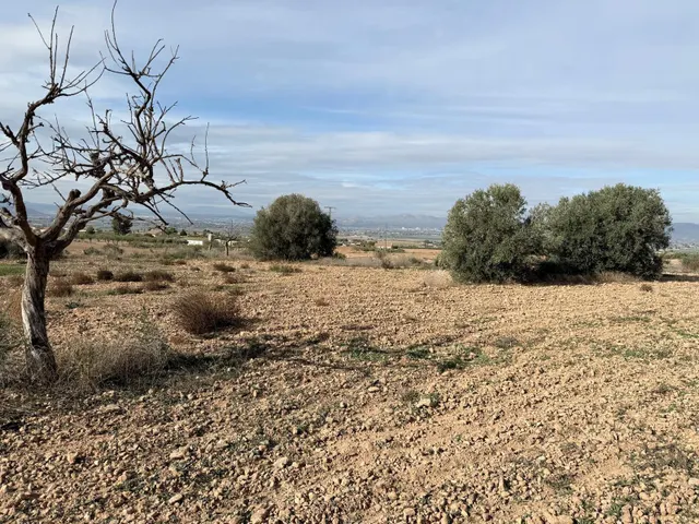 GRAN FINCA CON CASA PARA REFORMAR!!! — 9