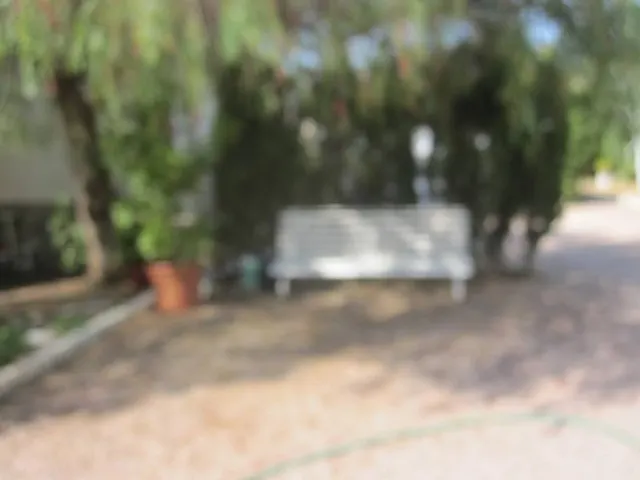 CHALET EN LAS SALINETAS CERCA DEL CLOT DE LA SAL — 36