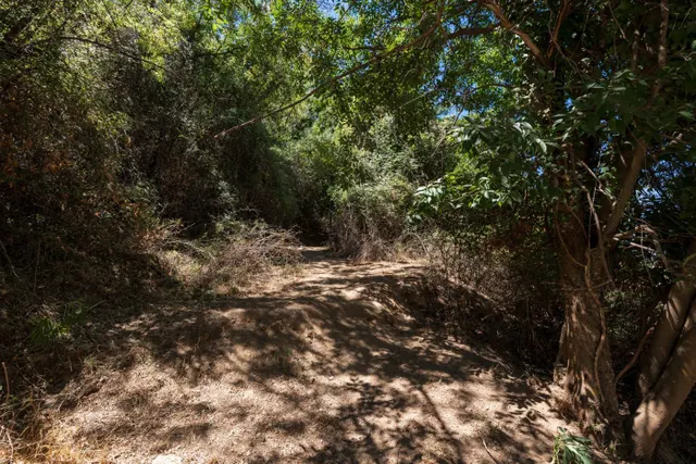 Terreno rural en Guejar Sierra zona Los Arroyos — 9