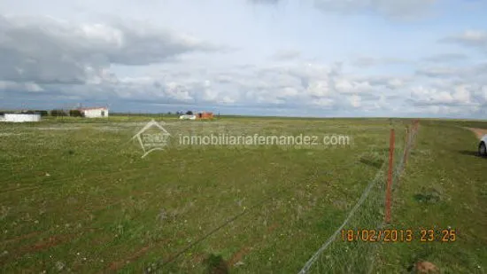 Parcela de 4000m2 semi vallada por el cordel cercana a Ctra. - foto 3