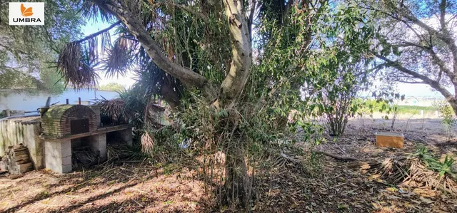 La Finca de los Sueños – Proyecto GARCIAGOS, 11.325 m2, Suel - foto 5