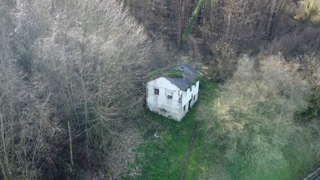 Oportunidad real: casa con parcela para rehabilitar en Tineo — 10
