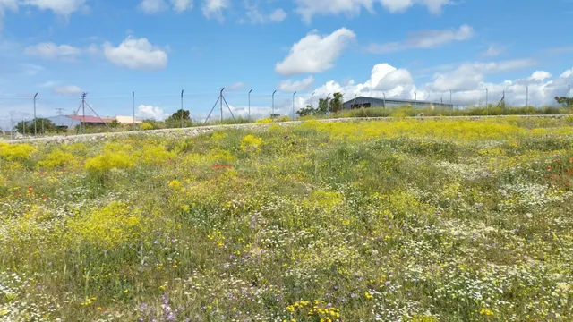Terreno urbano en venta - Fuentelencina — 32