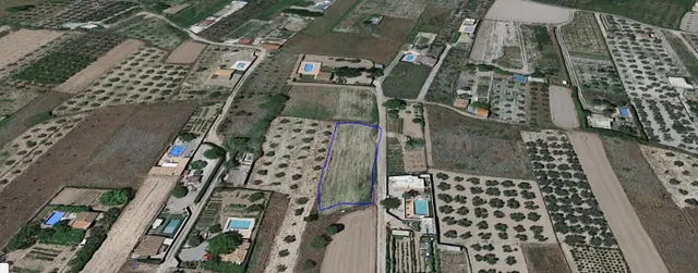 Terreno rural en venta - Marchena - foto 3