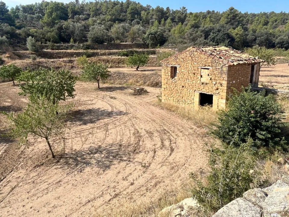 Finca con pozo productivo y maset en Valjunquera