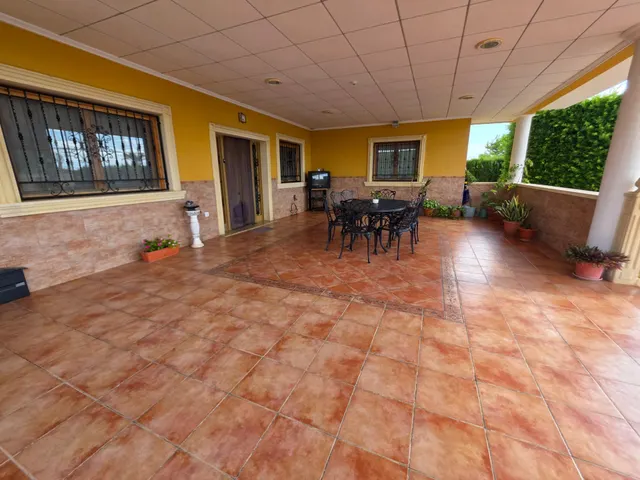 Chalet con piscina, casa de invitados y nave de 300 m2 a 1 km de Elche — 16