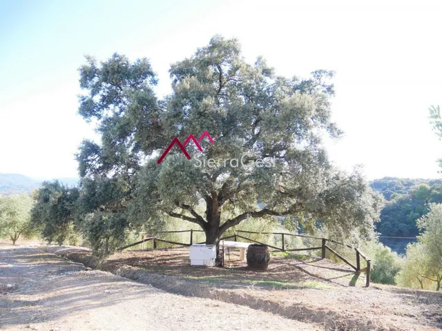 Parcela en venta - OTRAS - foto 2