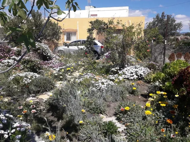 Casa rural en Tabernas (almeria) — 21