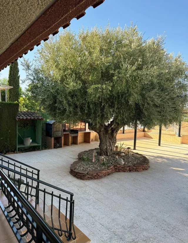 Chalet 6 habitaciones 506m² en venta - Montepinar — 27