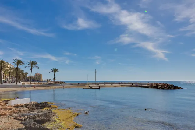Apartamento de 3 dormitorios 1 baño 1 aseo en Torrevieja (playa del cura) — 31