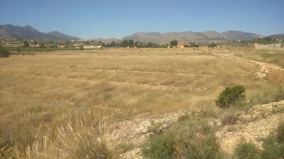 TERRENO PARCELA 10000 METROS
